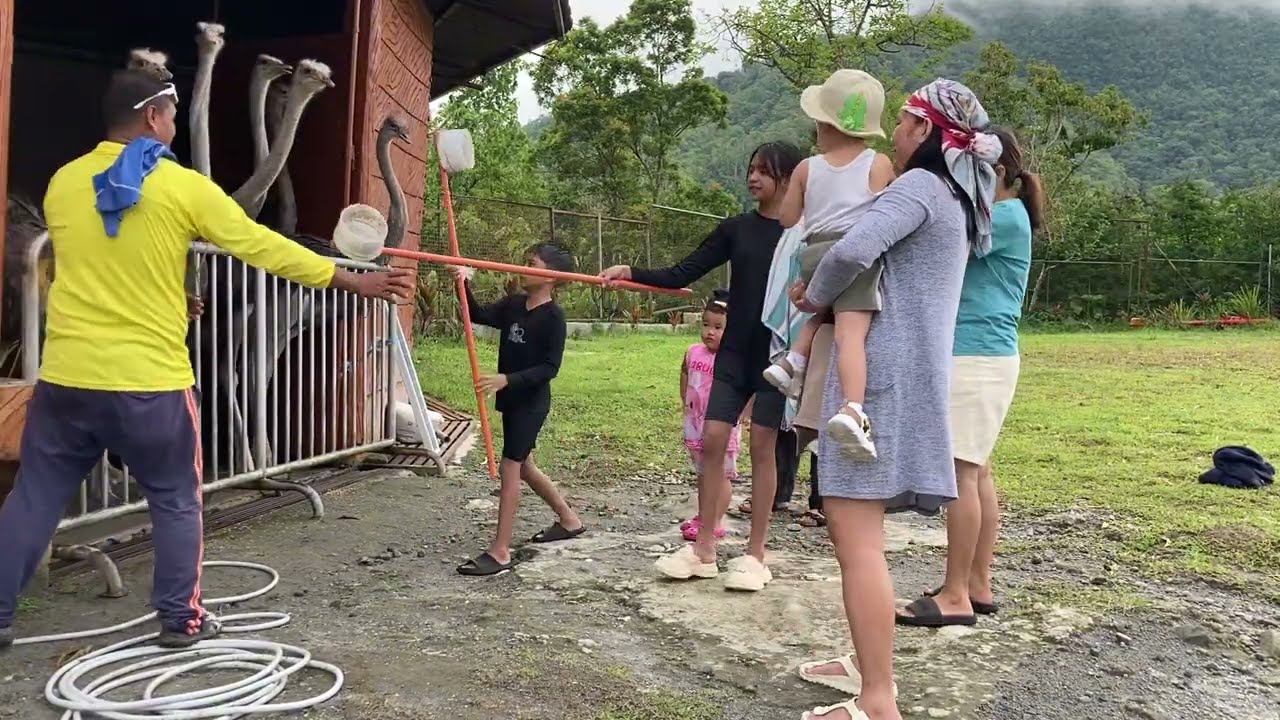 Ostrich sa Campuestohan 