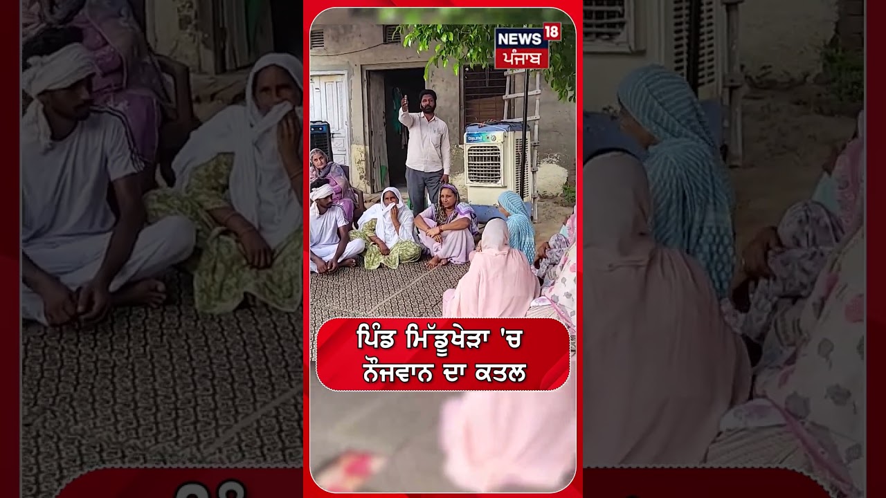 ਪਿੰਡ ਮਿੱਡੂਖੇੜਾ 'ਚ ਨੌਜਵਾਨ ਦਾ ਕਤਲ#shorts |N18S