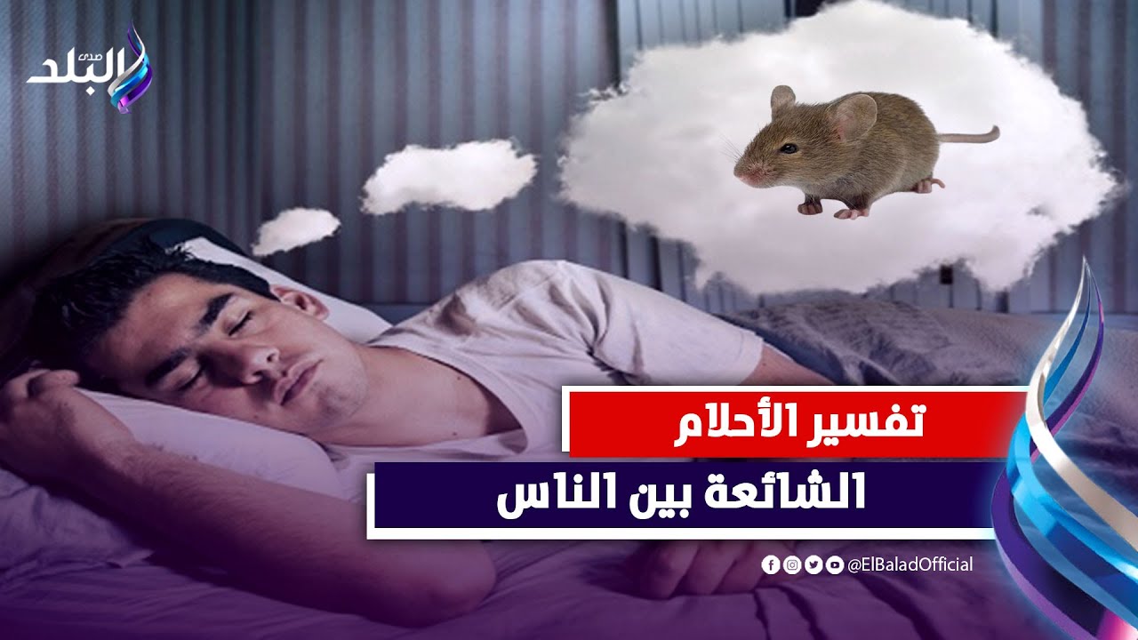 تعرف علي  بشرى رؤية الفيران في المنام  .. وسر الرقم 4 !