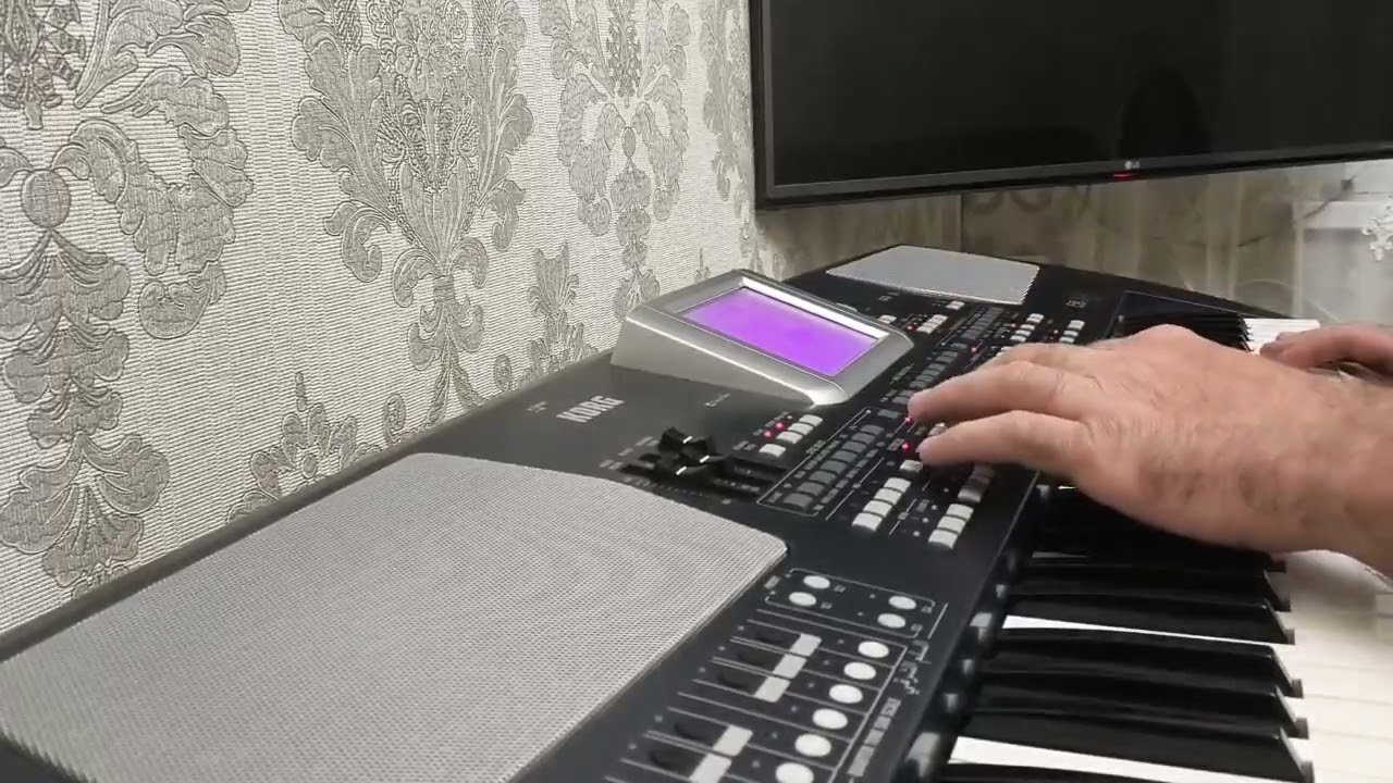 Korg pa500