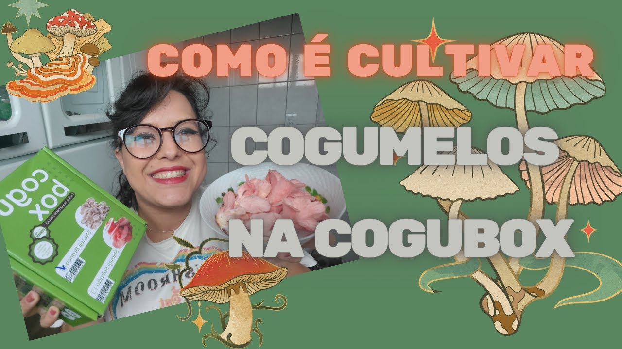 CULTIVO DE COGUMELOS NA COGUBOX HOORTECH (PRIMEIRA VEZ) FÁCIL E MUTO PRÁTICO