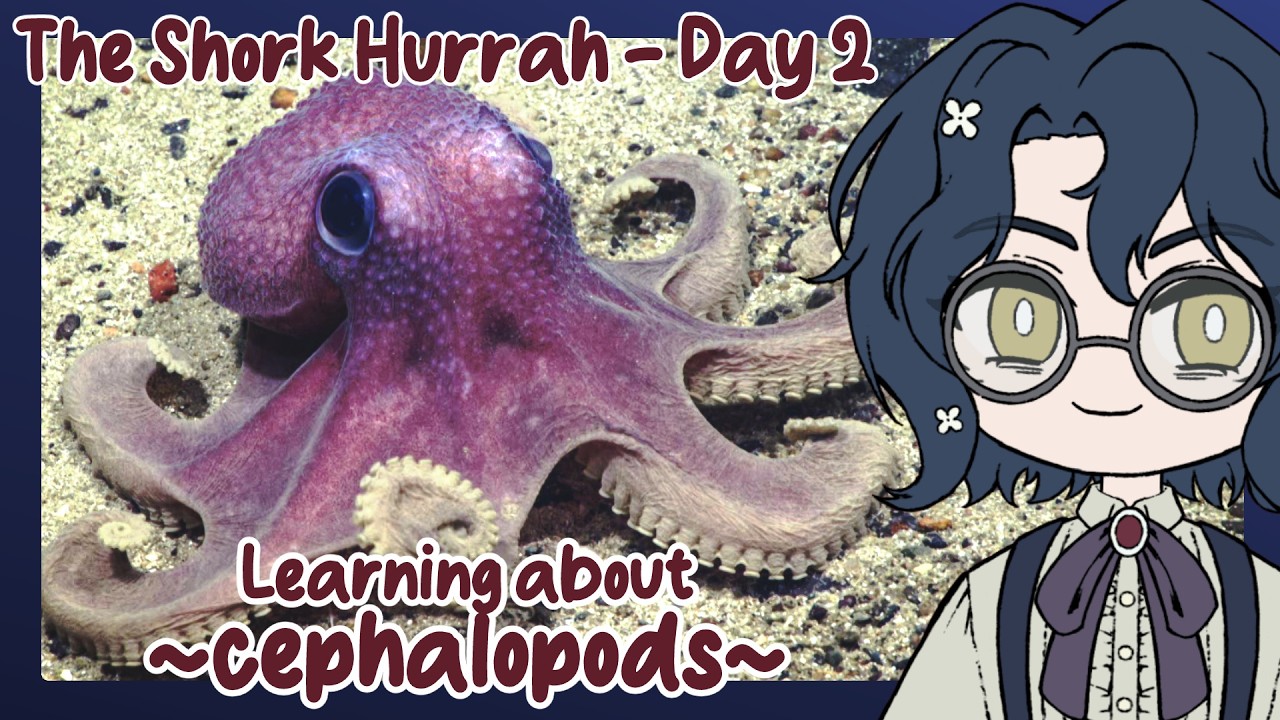 【Learnin' together】 Cephalopods! - Marathon until the 'mart claims me Day 2