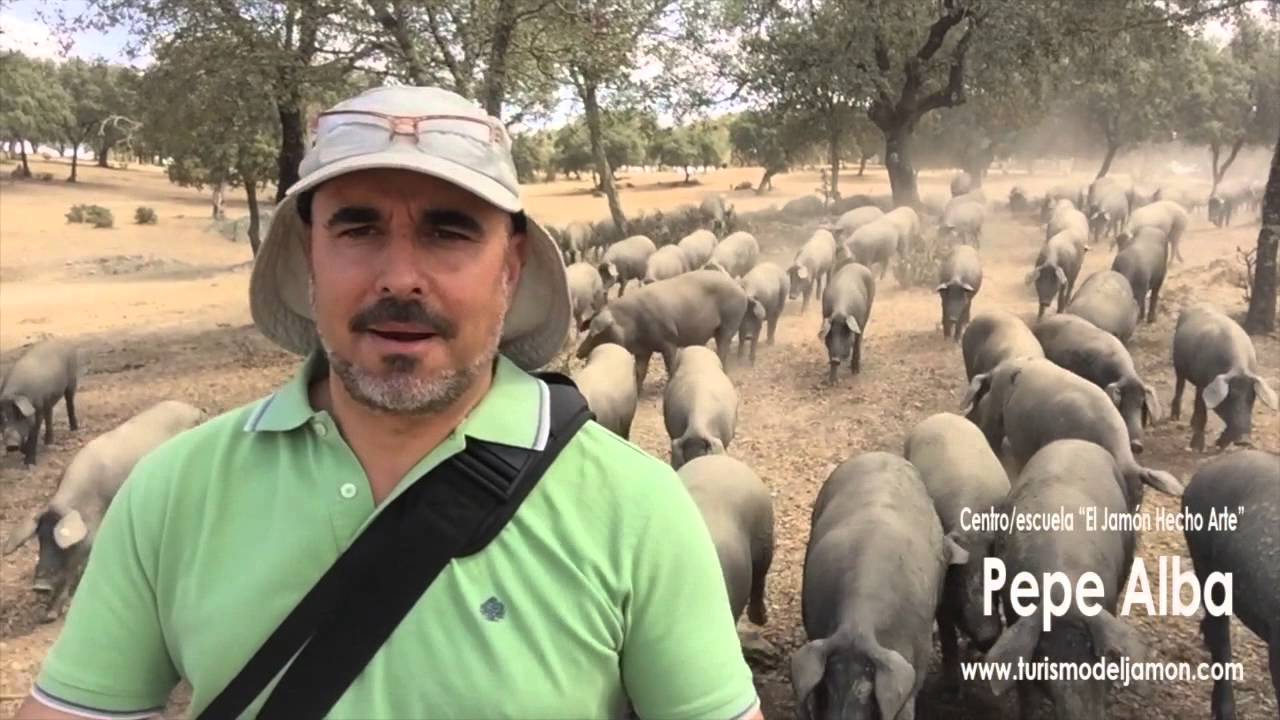 El Cerdo Ibérico - Verano en la Dehesa - Pepe Alba