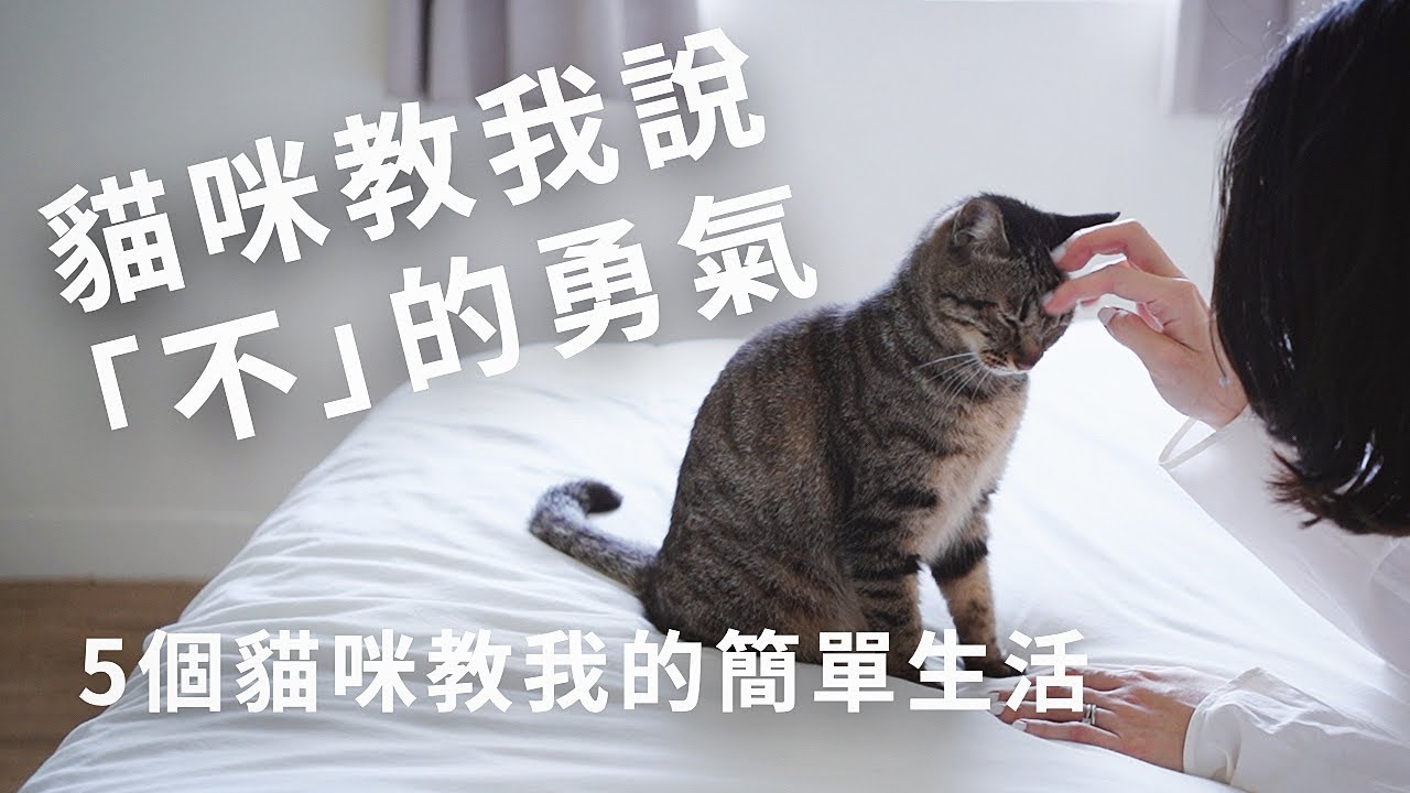貓咪教會我的5件事，貓咪是慢活大師？跟貓咪一起的簡單生活｜烏鴉太太的簡單生活練習｜