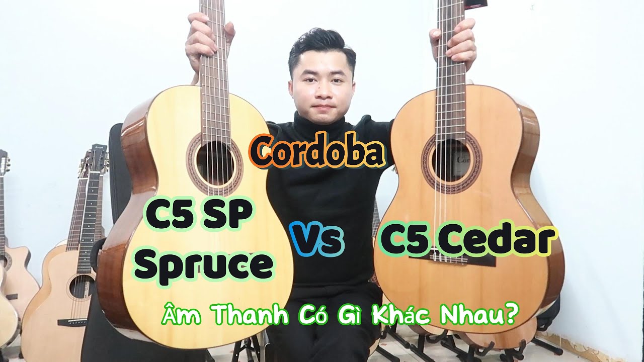 So Sánh Guitar Cordoba C5 SP Spruce vs Cordoba C5 Cedar - Âm Thanh Cây Nào Hay Hơn?