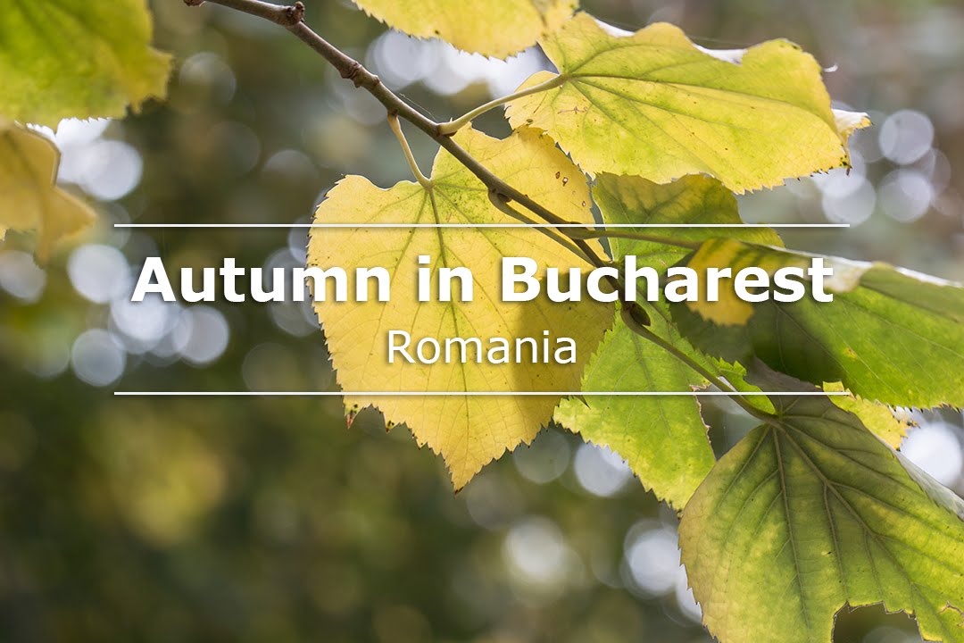 Romania: autumn in Bucharest