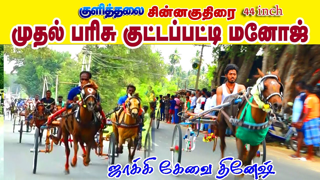3சின்னகுதிரை_ 44_ inch_ குளித்தலை_பந்தயம் 20.03.2023#krish_studio#krish_panthayam