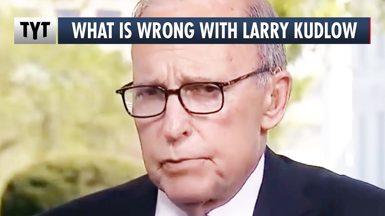 Larry Kudlow Interview Gets Real Weird