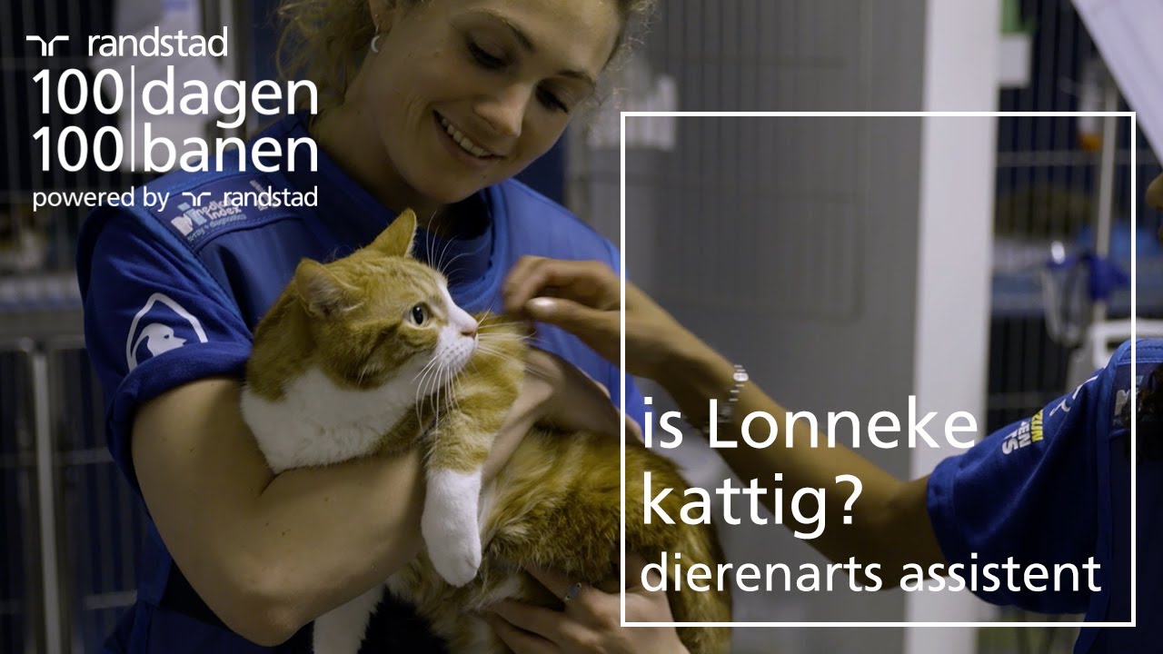 Wat doet een dierenarts assistent? Loop een dagje mee! | Randstad - Dag 53