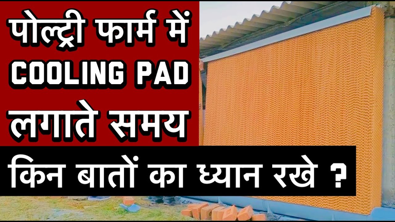 POULTRY FARM ME COOLING PAD LAGATE SAMAY IN BAATO KA DHYAN JARUR RAKHE, FARMING & VLOGGING