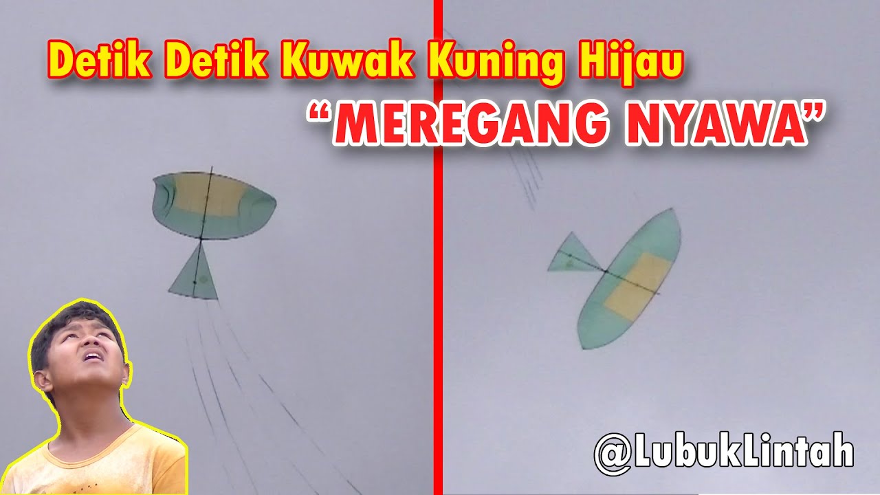 LAYANG LAYANG SAAT MENGHADAPI ANGIN KENCANG