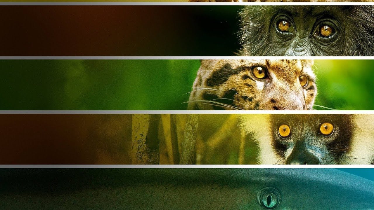 Endangered Urgence : esp&egrave;ces en danger / DOCUMENTAIRE