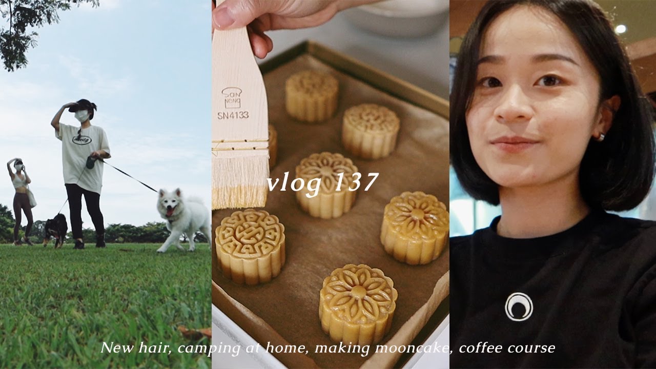 VLOG 137✨ |  莲蓉蛋黄传统月饼🥮 | 新发型 | 在客厅露营 | 咖啡课程 | 新加坡日常 | Belinda VLOG