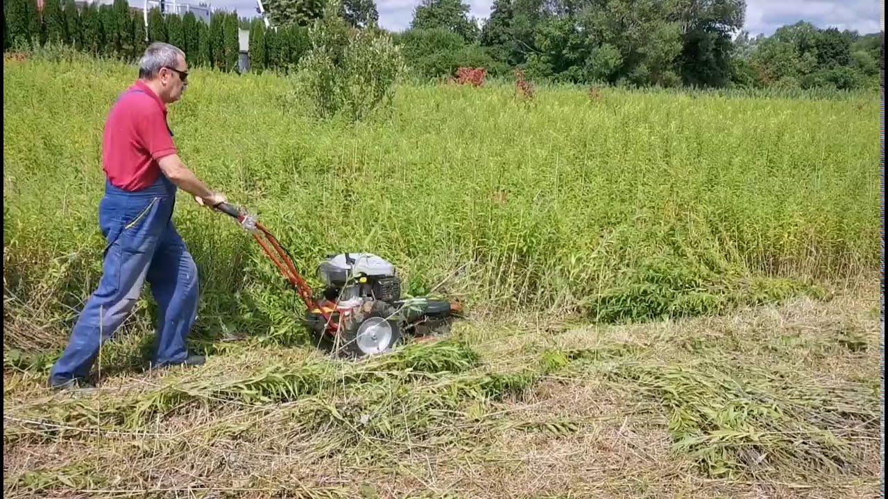 BERNARDINOS | Ro&ccedil;adora com Rodas Corta Prado HCT 5060