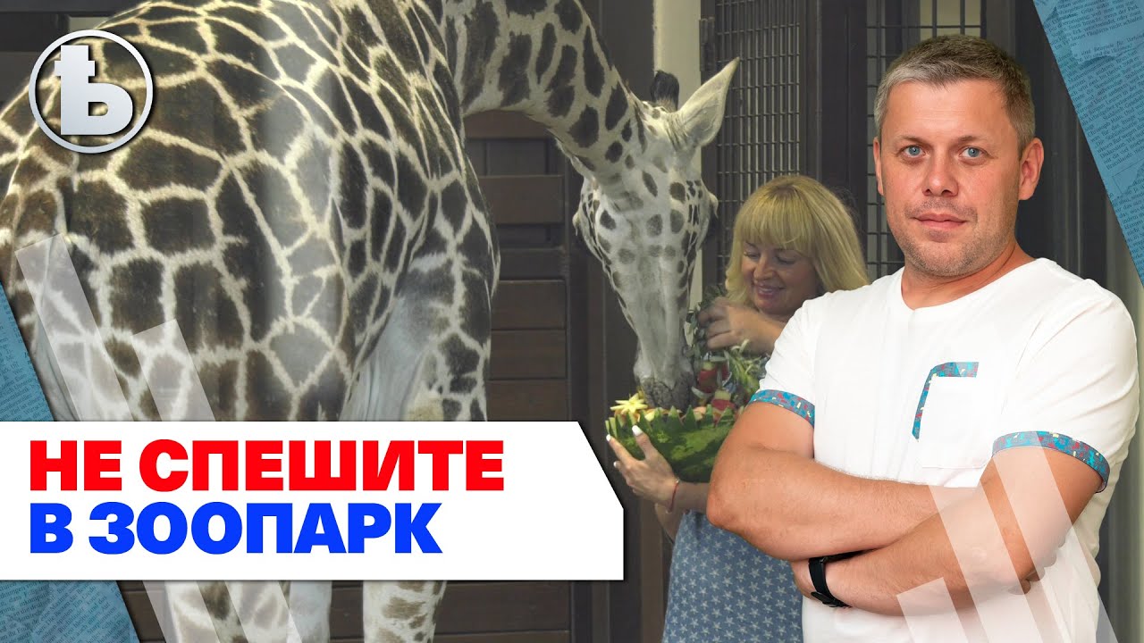В Харьковский зоопарк попадут не все после его открытия