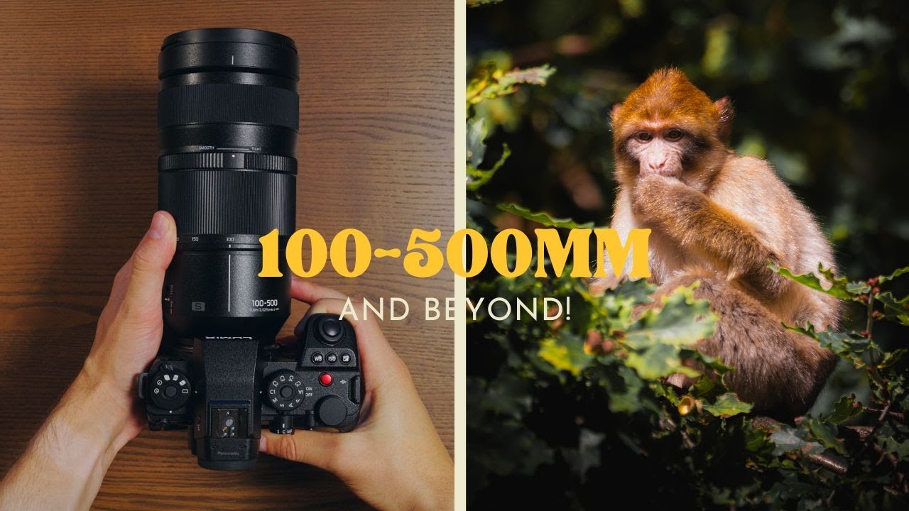 Я протестировал самый длинный объектив Lumix, и вот что я обнаружил!