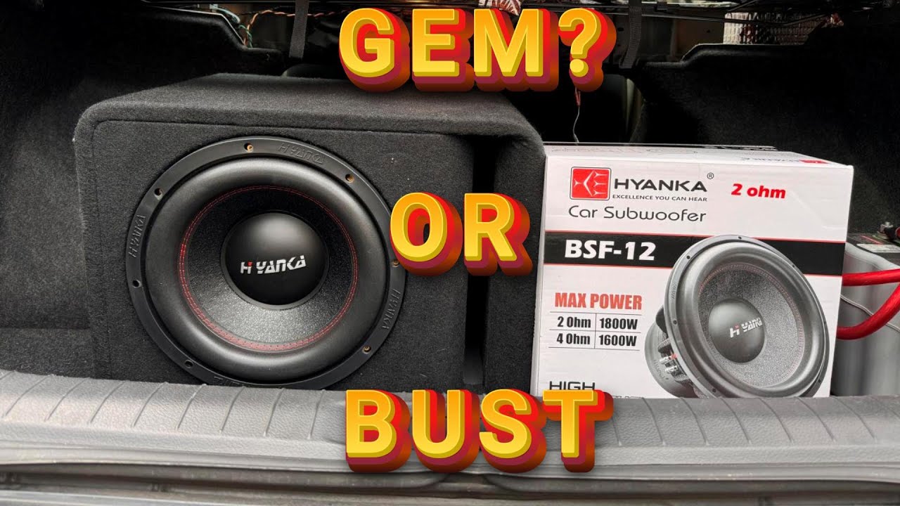 Hyanka BSF 12-Inch Subwoofer | Hidden GEM or Total BUST?