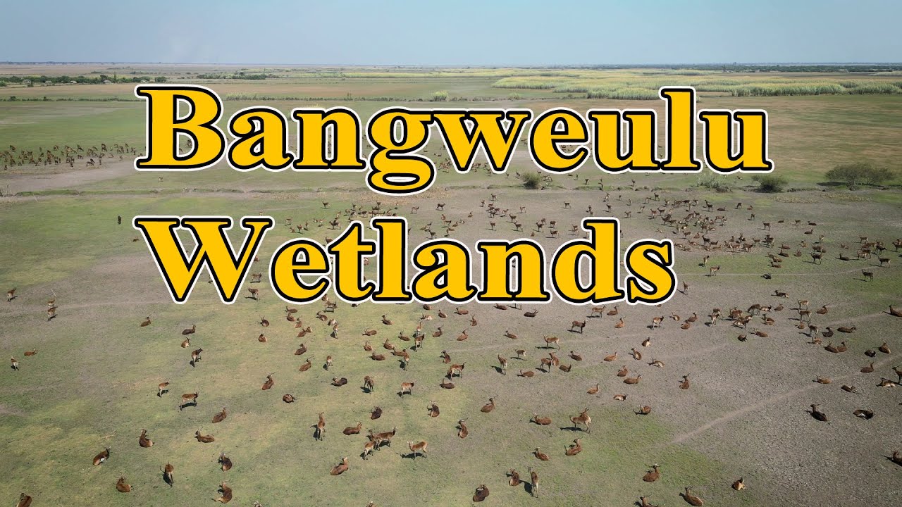 Bangweulu Wetlands