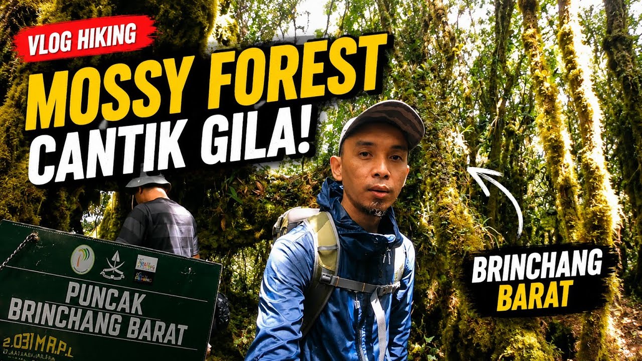 GUNUNG BRINCHANG BARAT Cameron Highlands hiking Malaysia