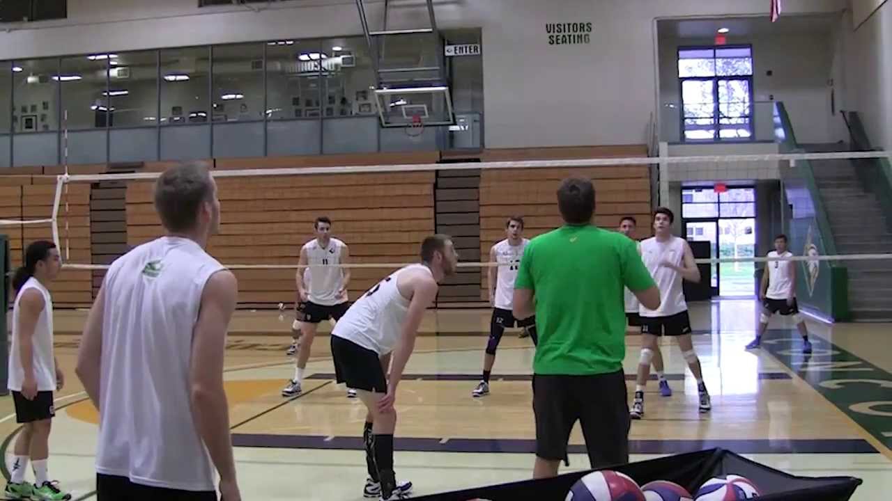 AVCA Video Tip of the Week: Reading the Game Blocking and Calibrating Team Offense