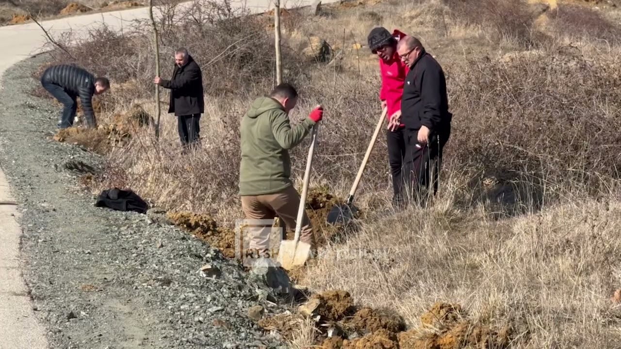 Pyllëzimi i kodrave – Korçarët vijojnë nismën për gjelbërimin e zonës
