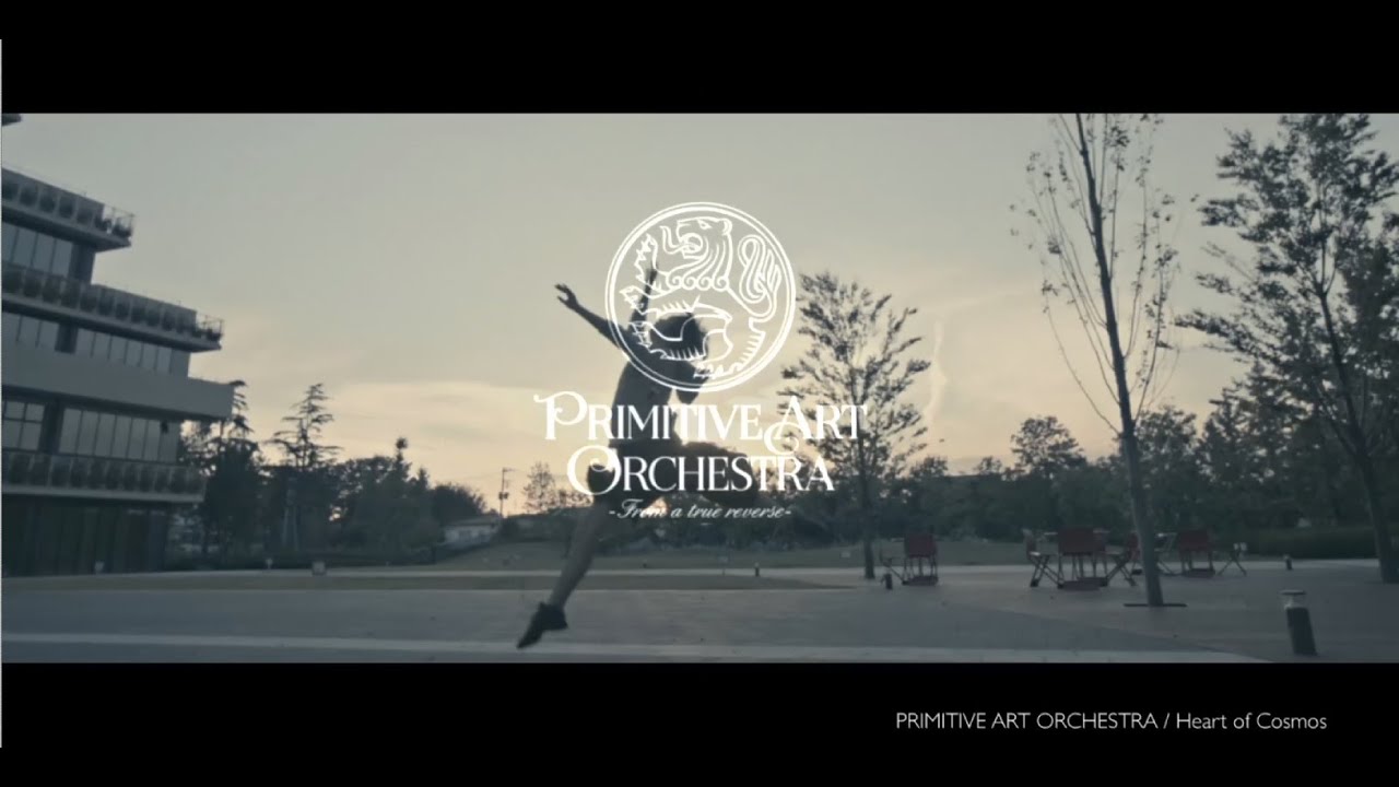 PRIMITIVE ART ORCHESTRA / Heart of Cosmos