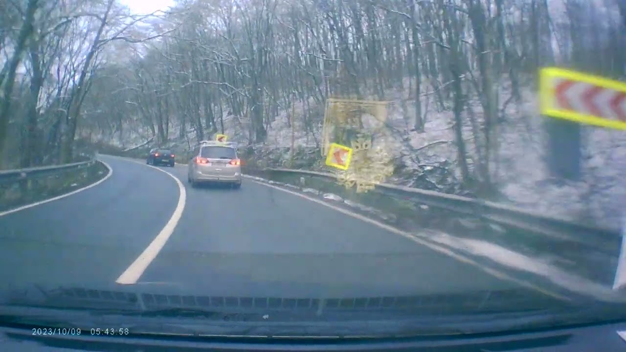 Driving through forest - early winter