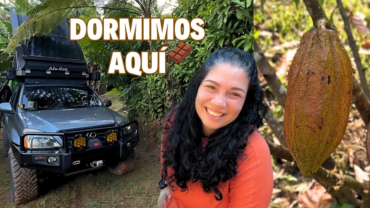 Acampamos entre árboles de cacao en Añasco, ¡experiencia mágica!  | 1er parte