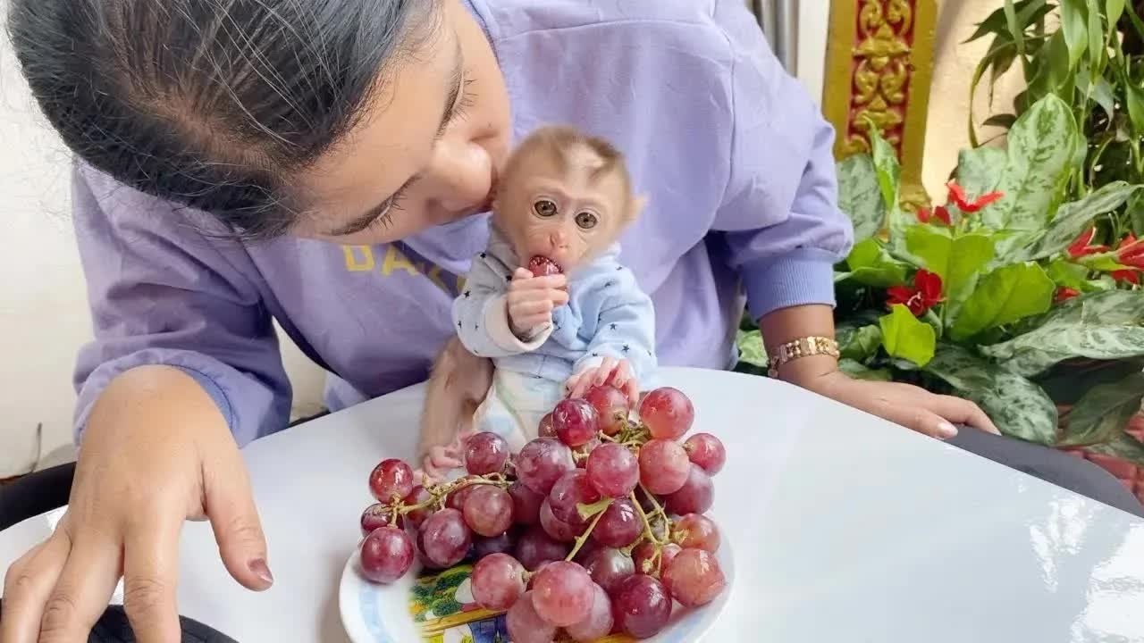 BB DAM Enjoy Massive Plate Of Grape Fruit For Afternoon Snack
