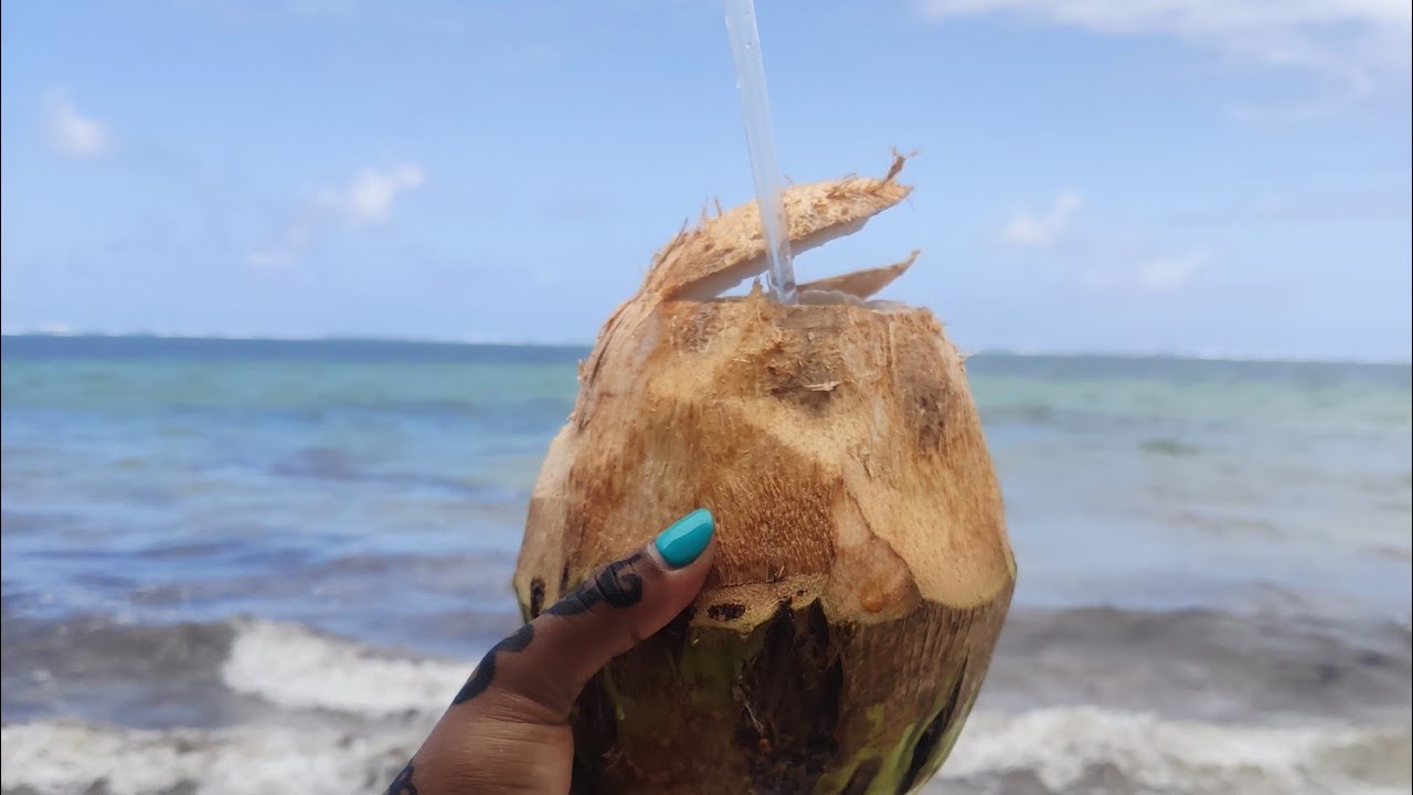 TWENDENI MOMBASA COUNTY x VOYAGER BEACH RESORT x NYALI MARINE PARK x MOORINGS FLOATING RESTAURANT.