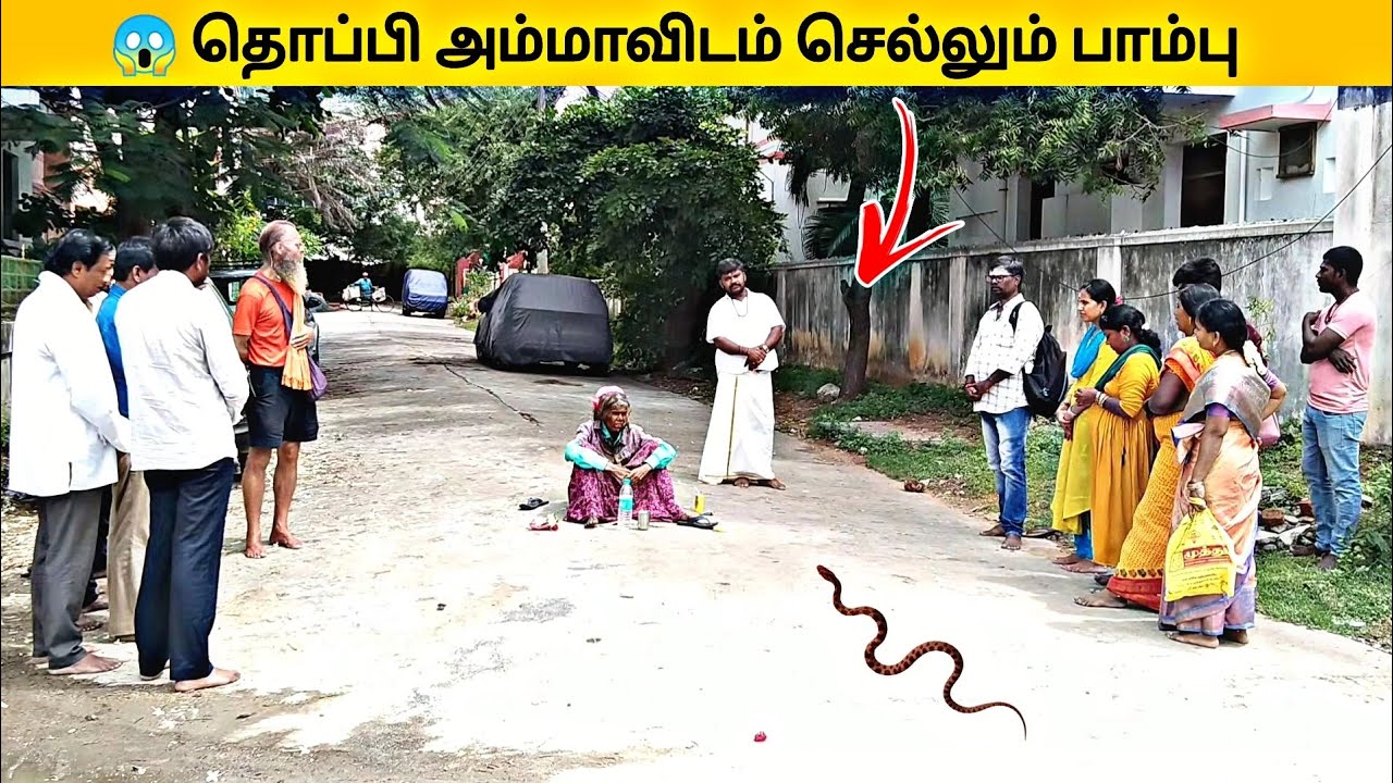🐍 தொப்பி அம்மாவிடம் சென்ற பாம்பு 😯 | పాము టోపీ తల్లి వద్దకు వెళ్లింది | Thoppi Amma Tiruvannamalai