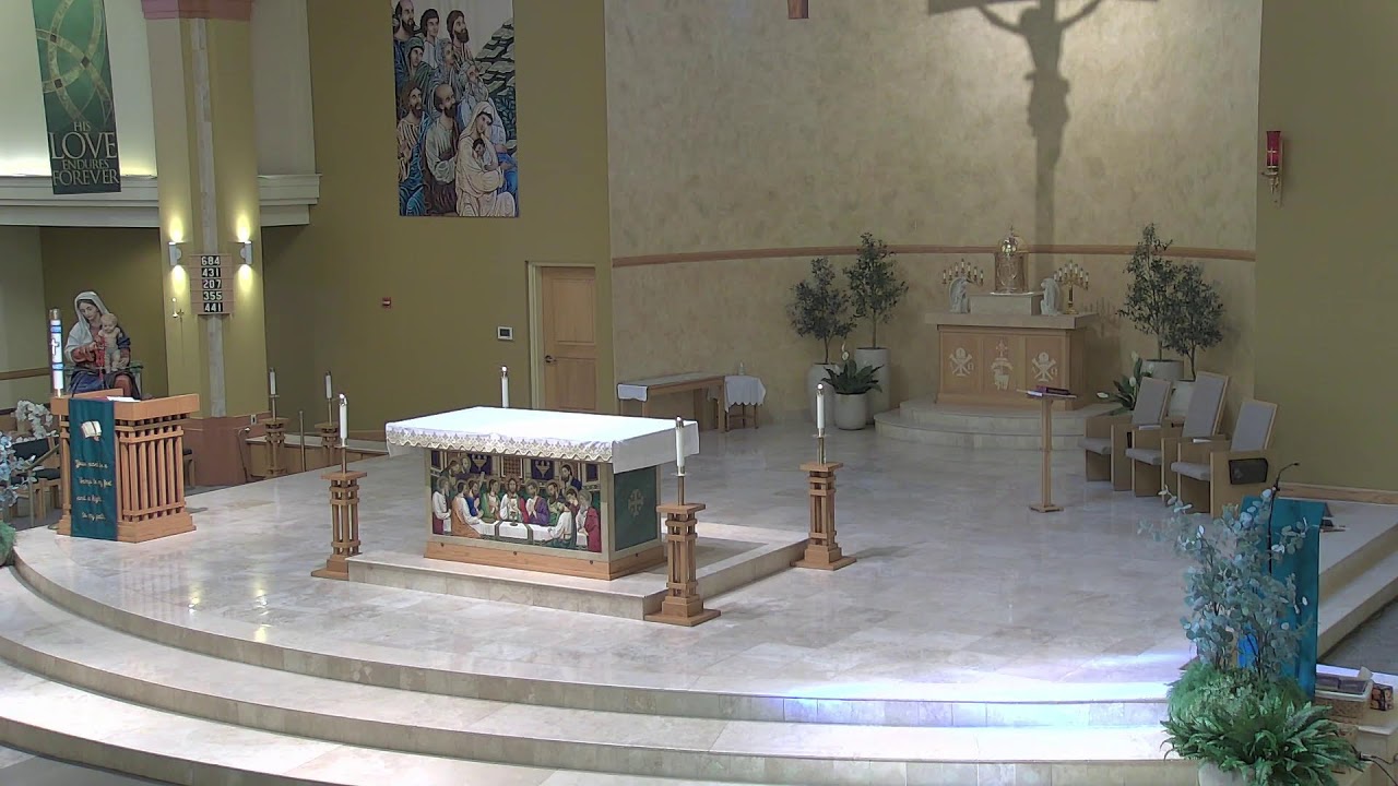Divine Mercy - Daily Mass - Rosary 2/10/2026