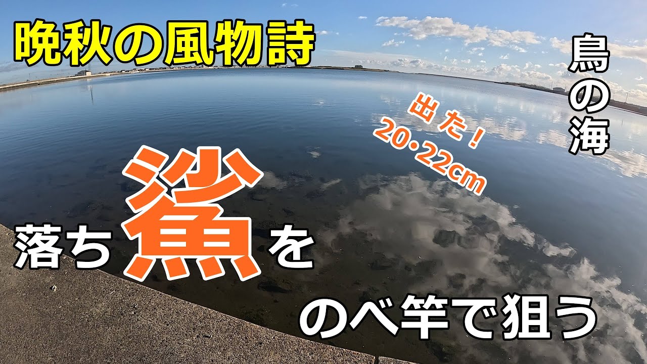 晩秋の風物詩・落ちハゼを延竿で狙う /  阿武隈川鳥の海 / のべ竿でハゼ / 宮城のハゼ釣り / 小物釣り