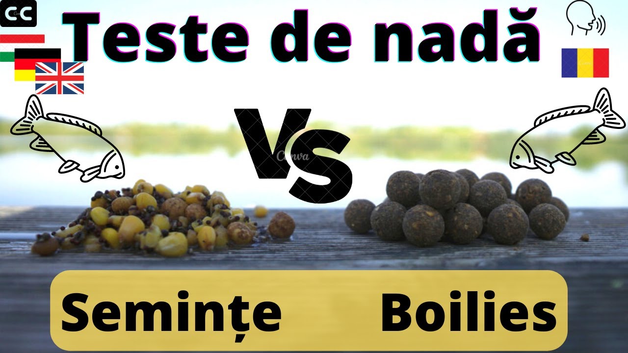 Pescuit la crap teste de nada mix de seminte sau boilies