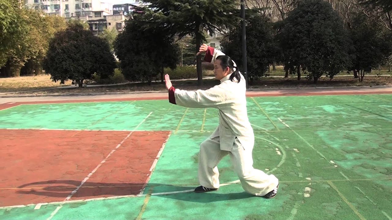 武当太乙逍遥掌1
