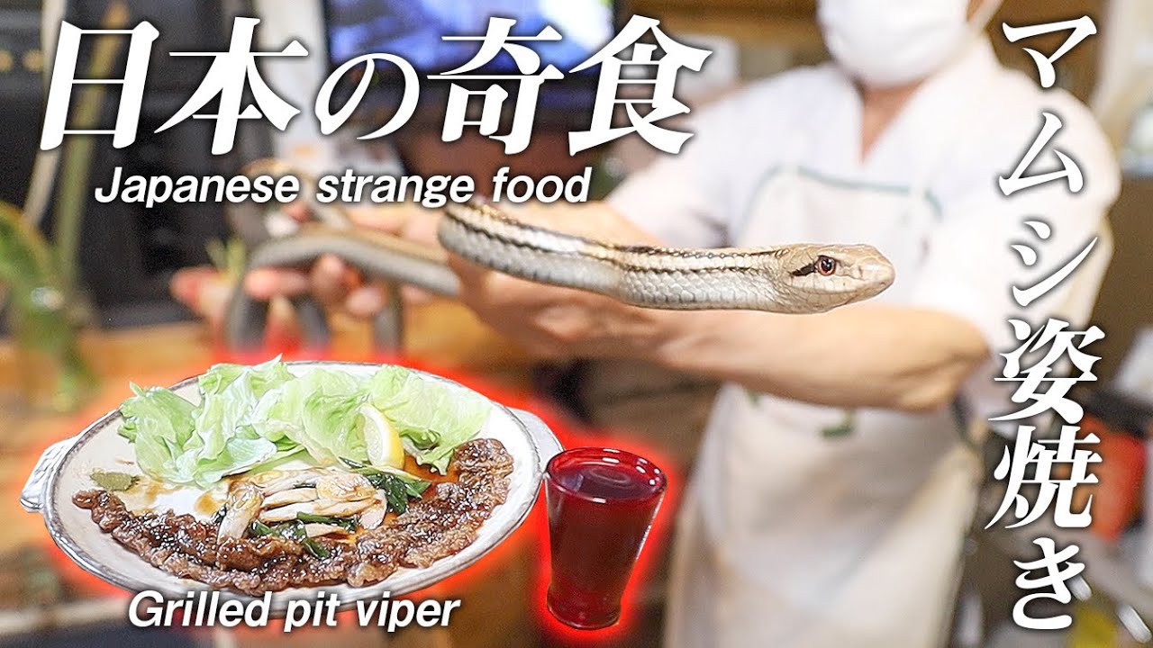 【奇食】日本残り数件となったマムシ料理専門店「マム本舗ナカゼン」のマムシの姿焼きで飯が進む！Japanese pit viper dish