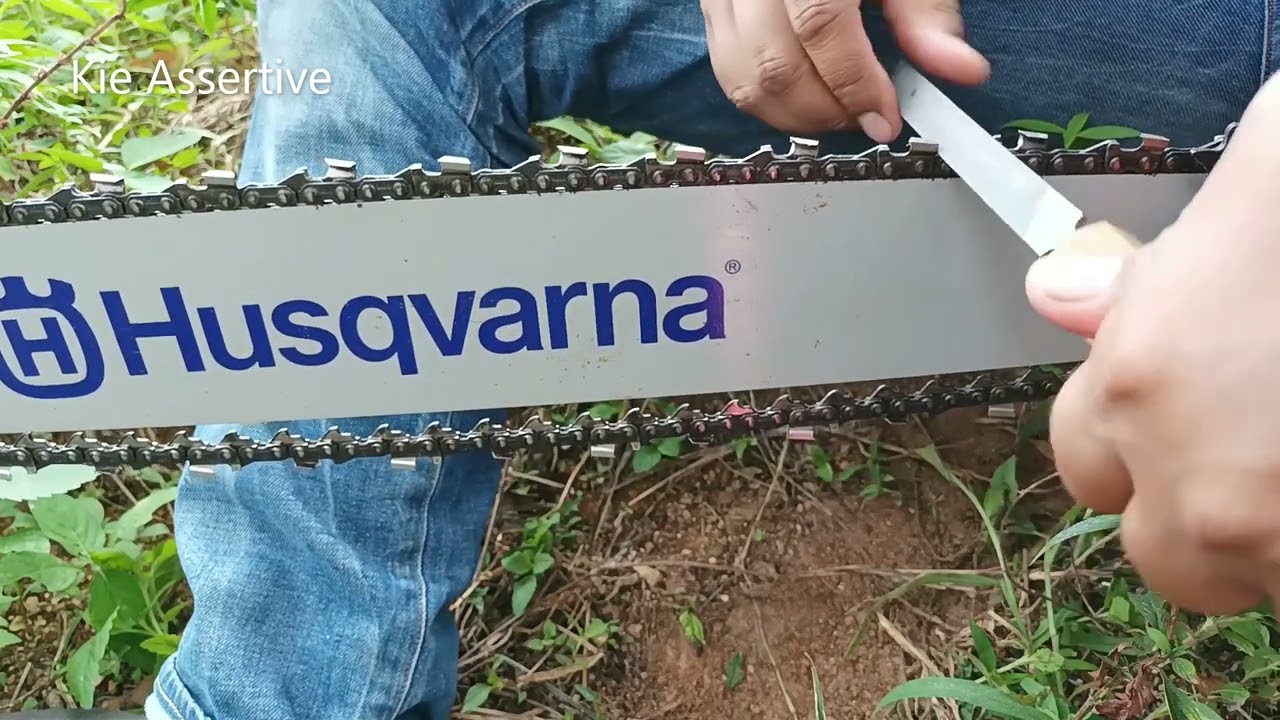Tunggul Rantai Chainsaw Habis Buang/Apa Kelebihan dan Kekurangan