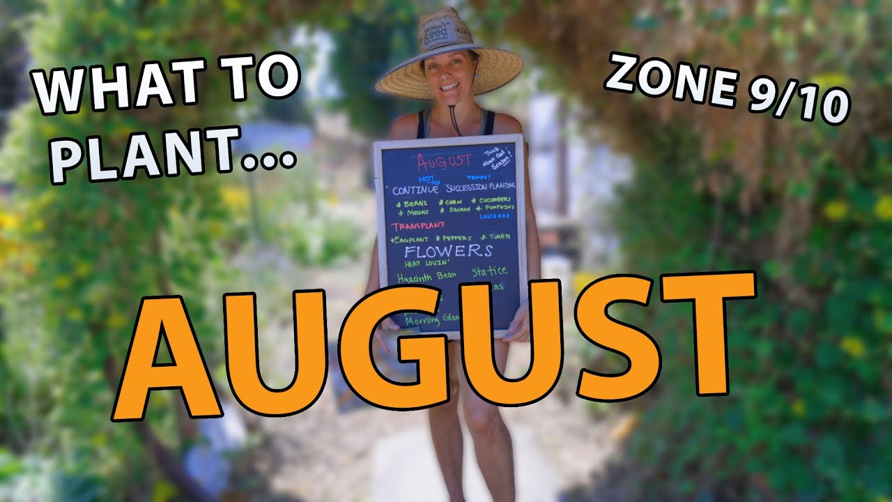 What To Plant - And What To NOT Plant - In August For Zones 9 & 10