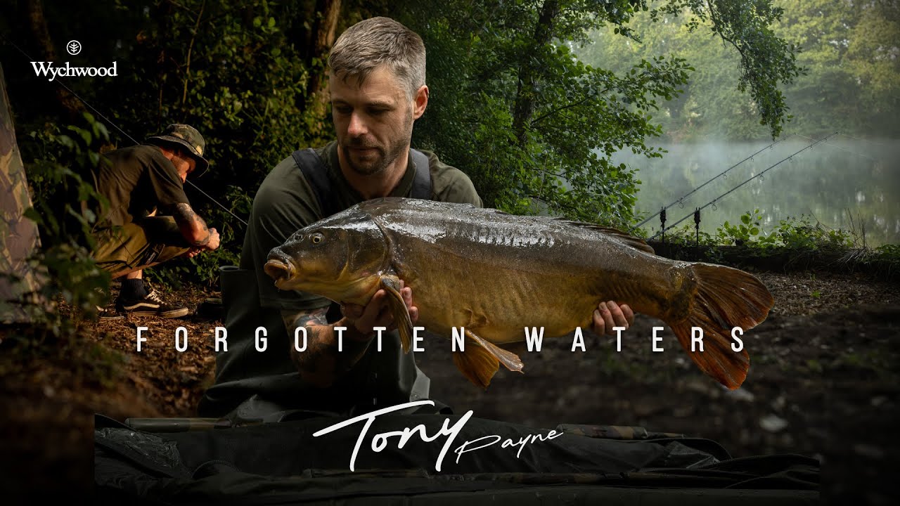 Tony Payne Forgotten waters