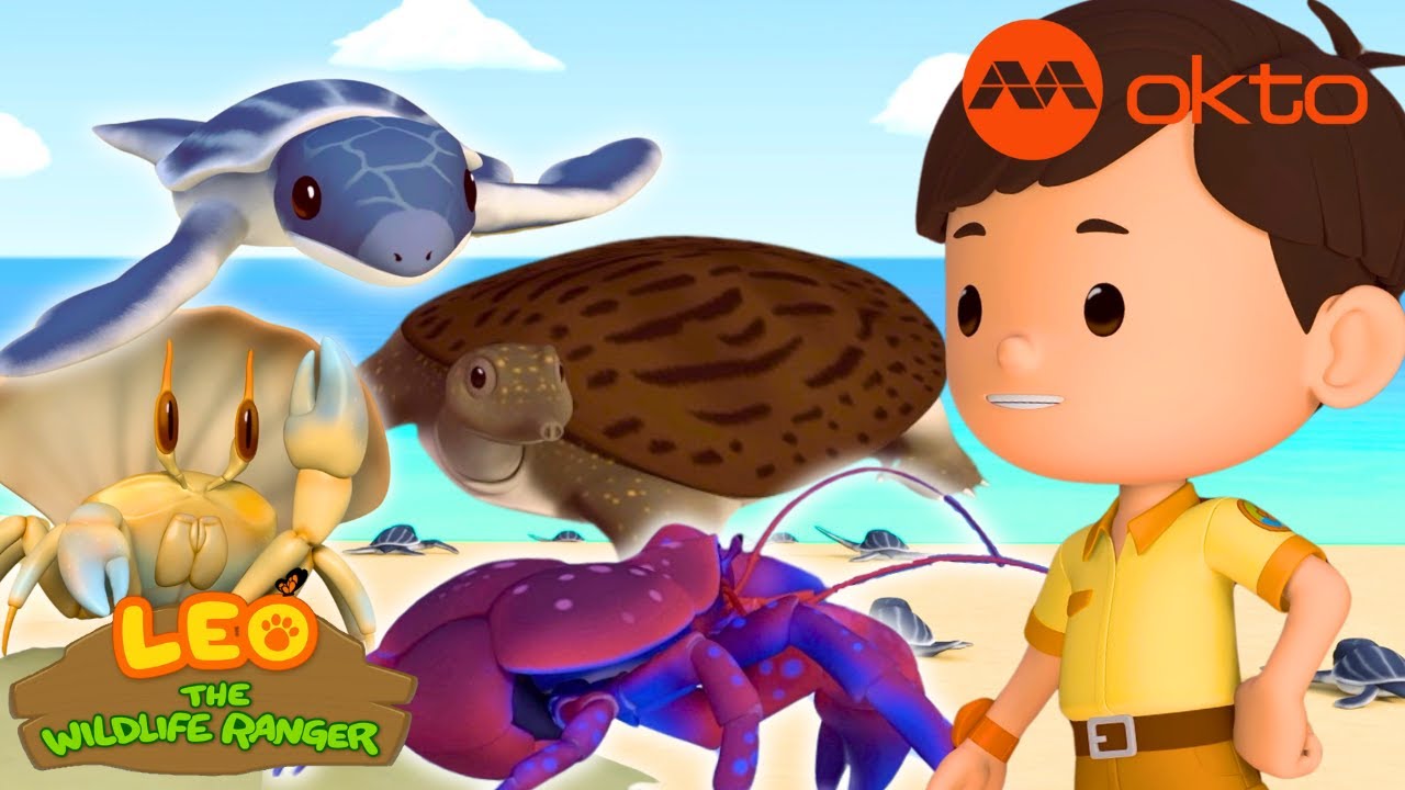 Why do these animals have such a HARD SHELL?! 🐢🦀 | Leo Compilation | @mediacorpokto