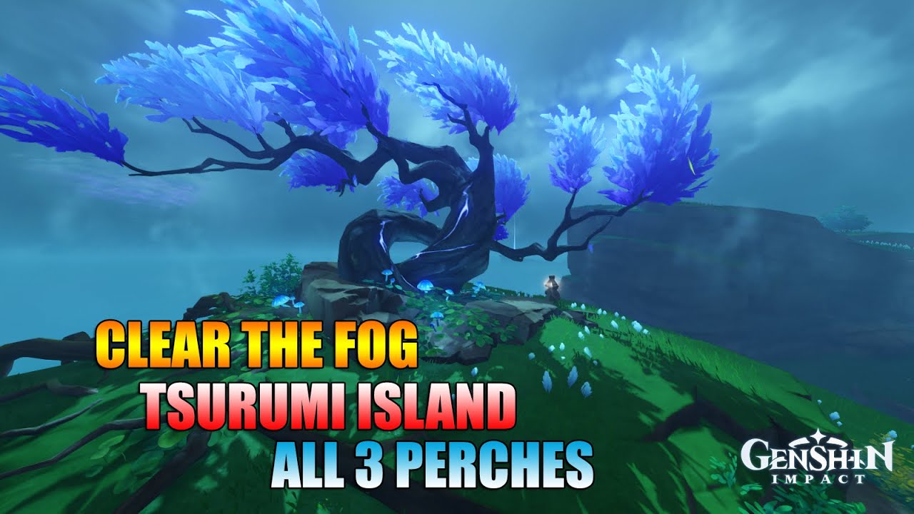 A Particularly Particular Author - Clear the Fog - ALL 3 Perches | Genshin Impact
