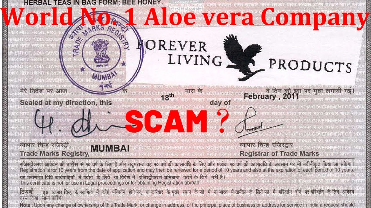 world No 1 Aloe vera Company Forever Living Scam Exposed, Freelance Scam I Sispho Story
