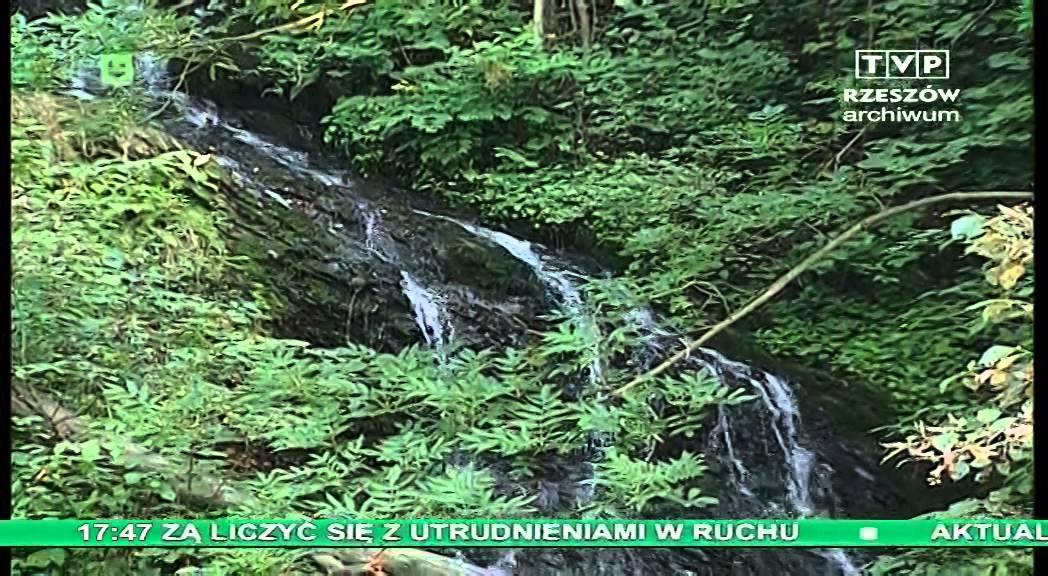 TVP Rzeszow - Bieszczadzkie Klimaty - Nie masz konia nad hucuła