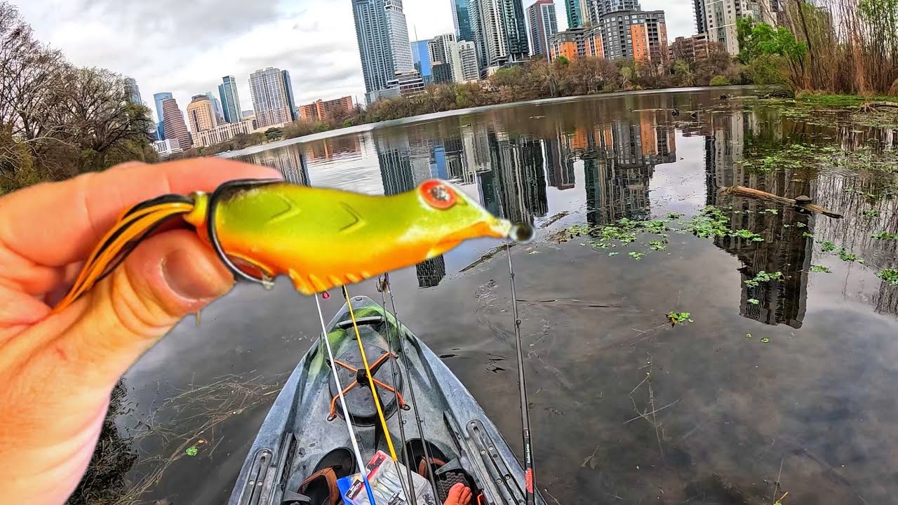 Froggin BEATDOWN - Urban Bassin From the Yak