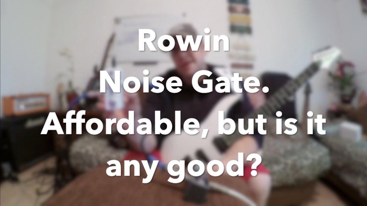 Rowin Noise Gate Review