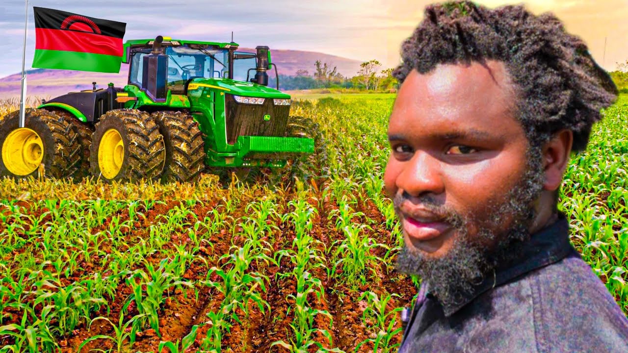 How a Nurse Became a SUCCESSFUL Farmer in Malawi