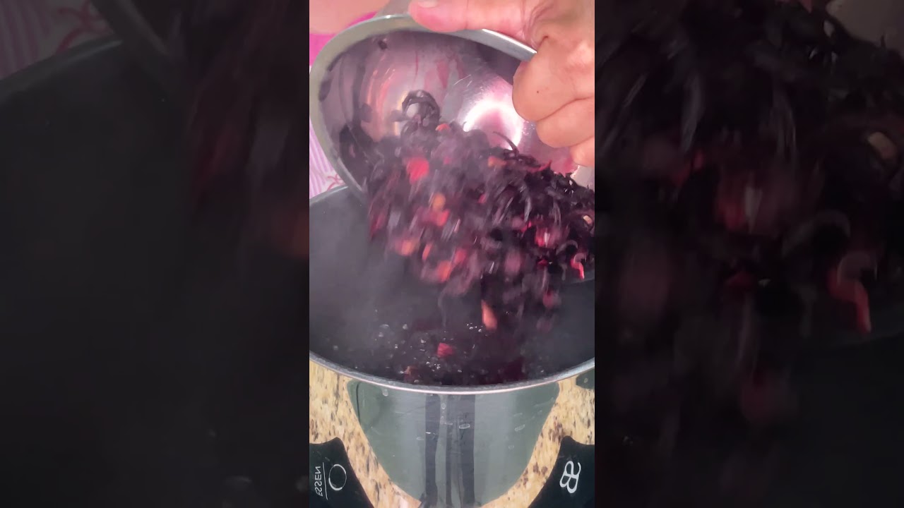 C&oacute;mo hacer Agua de Jamaica con #tujefitahenry