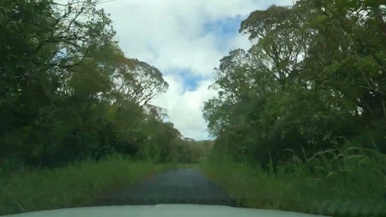 Île de la Réunion, Traversée de la forêt de Bébour, Saint Benoit