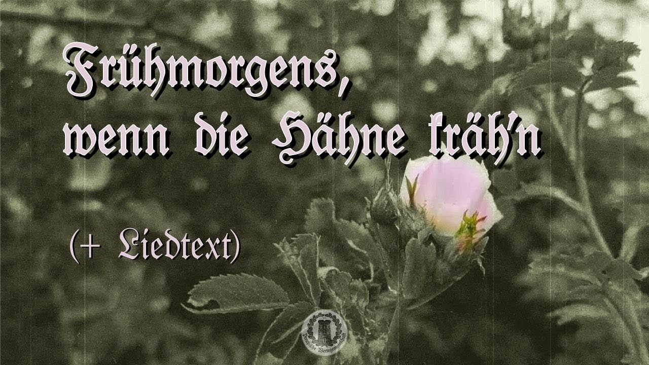 Frühmorgens, wenn die Hähne kräh'n / Heckenrosenlied (+Liedtext)