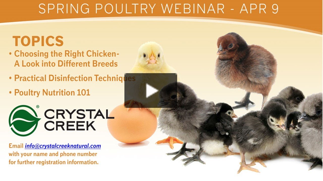 Poultry Webinar Spring 2022